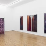 Sara VanDerBeek, From the Means of Reproduction, 2007