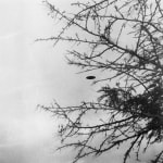 Trevor Paglen, Near Dutch Lane (undated), 2024
