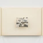 Grant Mooney, Cation c. (v), 2024
