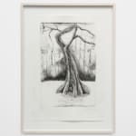 Didier William, Cypress 2, 2024