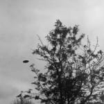 Trevor Paglen, Near Dutch Lane (undated), 2024