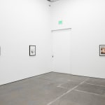 Lynn Hershman Leeson, Sorry! But ----ou are way tooooooo old for me, babe@@@@!!!, 2025