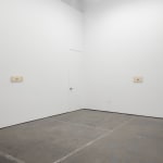 Grant Mooney, Cation c. (v), 2024