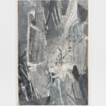 Zheng Chongbin, Hidden Crust, 2024