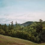 Trevor Paglen, Near Windy Hill (undated), 2024