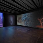 Zheng Chongbin, The Branch of the Unfolding Tree, 2025