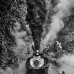 David Yarrow, True Grit