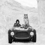 David Yarrow, The Statesman