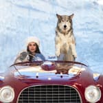 David Yarrow, The Statesman