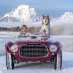 David Yarrow, The Hitchhikers Guide to the Galaxy