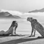 David Yarrow, The Statesman