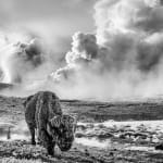 David Yarrow, Hello