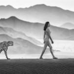 David Yarrow, The Statesman