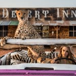 David Yarrow, The Statesman