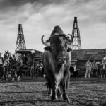 David Yarrow, Prowl