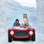 David Yarrow, The Statesman