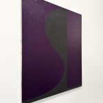 Jai Llewellyn colourblock purple