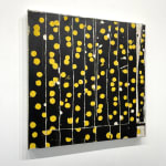 Liz Douglas abstract art