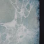 new paintings Mary Morrison
