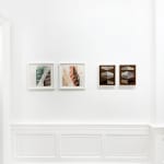 Susan Laughton artworks for sale