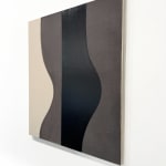 paint gloss curves