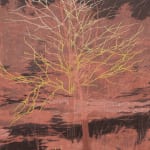 Andrew Mackenzie &Gallery
