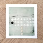 Adam Taylor paintings