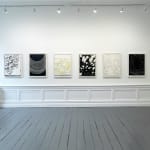 Liz Douglas art gallery