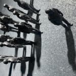 Peter Burke, Yield (Project Two) , 2005