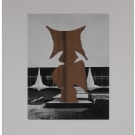 Terence Gower, Art in Latin American Architecture (Series 3, No. 10), 2025
