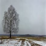 Валерий Кацуба, Last Snow. Belarus | Последний снег. Беларусь, 2012