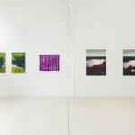 Marcella BARCELO, Untitled (série Ikiryō), 2021