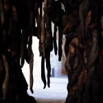 Nicola Turner, Punctum, 2024