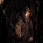 Nicola Turner, Punctum, 2024