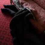 Nicola Turner, Punctum, 2024