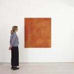 Yuko Shiraishi, Mock Suns, 2022