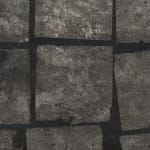Katie van Scherpenberg, Silhueta [Silhouette], da série [from the series] Feuerbach, 2008