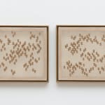 Fabiana Preti, Borboletário 01, da série Bordados [Borboletário 01, from the series Bordados], 2023
