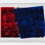 Marcel Odenbach, Tropenkoller (tropical frenzy), 2017