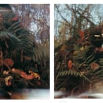 KIM Soun-Gui, Forêt 1 (Forest 1), Forêt 2 (Forest 2), 1998-1999
