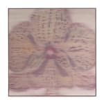 Heath Wae, Petal Portal II, 2025