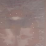 Heath Wae, Petal Portal II, 2025