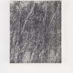Edmond Caputo, Silver Drawing III, 2022