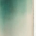 Marisa Purcell, After the Rain , 2025