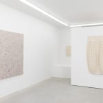 Sarah Giannobile, Tiger Moth, 2024