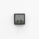 Greg Wood, Heronswood, 2018