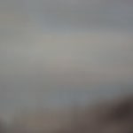 Ali Enache, A Room Inside the Day, 2024