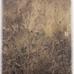 Cas Friese, Fragment no. 8881, 2023