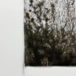 Cas Friese, no. 1252, 2021