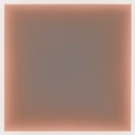Gwen Hardie, 05.20.21 muted pale pink on raw umber, 2021
